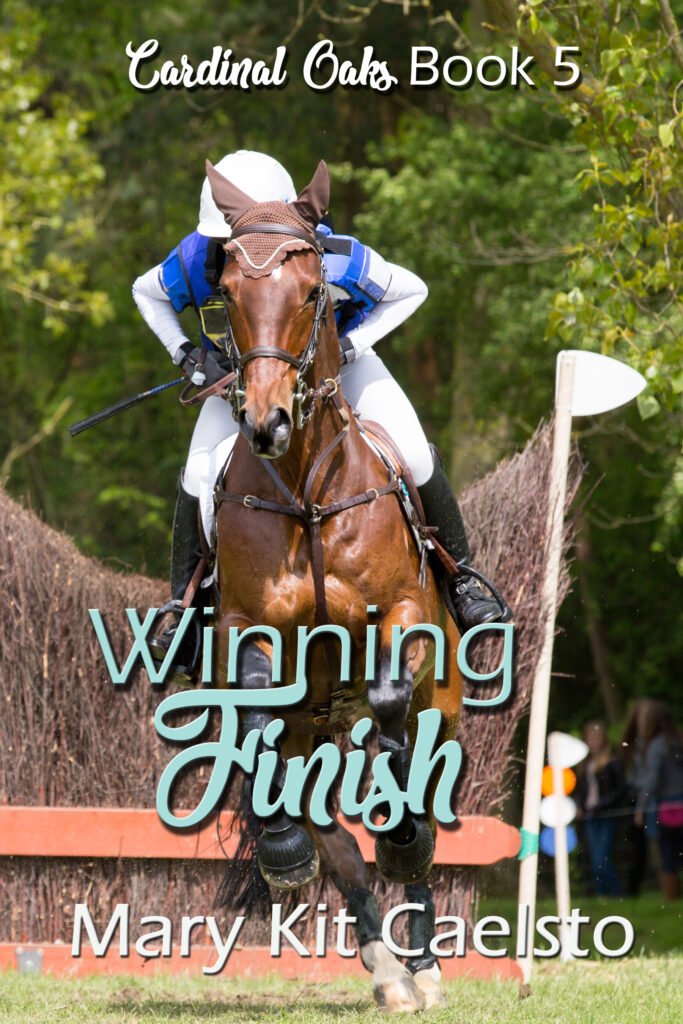 Book Cover: Winning Finish