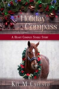 Book Cover: Holiday Compass