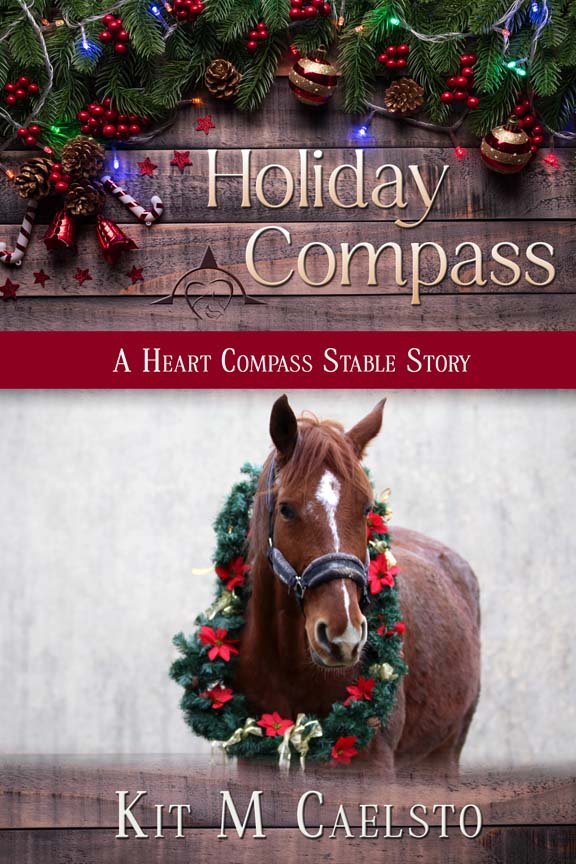 Book Cover: Holiday Compass